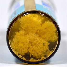 SPONGIOSE CRUMBES 5 ml LYO-55 