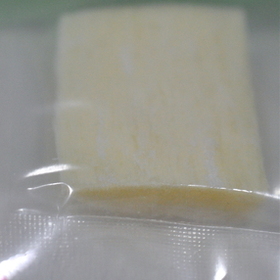DEMINERALIZED  FRAGMENTUM OSSIS FEMORIS 2х2х0,5 см LYO-114