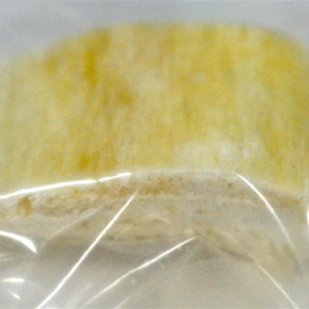 DEMINERALIZED  FRAGMENTUM OSSIS FEMORIS 1 х 2 х 0,5 cm LYO-39