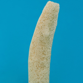 TRICORTICAL ILIUM BLOCK LYO-33 