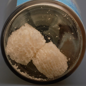 SPONGIOSE CRUMBES 2 tips LYO-57 