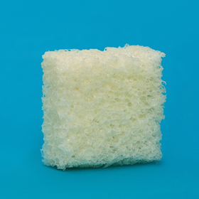SPONGIOSE BLOCK 2 cm х 2 cm х 1 cm LYO-72