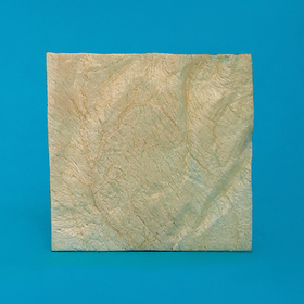 Strip of Dura mater 4 х 4 cm LYO-89