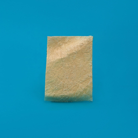 Strip of Dura mater 2 x 3 cm LYO-90