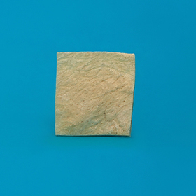 Strip of the Dura mater 2 x 2 cm LYO-91