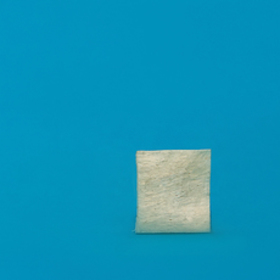 Strip of Dura Mater 1 х 1 cm LYO-92	