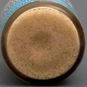 SPONGIOSE POWDER 5.0 ml LYO-104