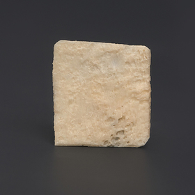CORTICAL BONE  BLOCK 2 х 2 х 0,1 cm LYO-120