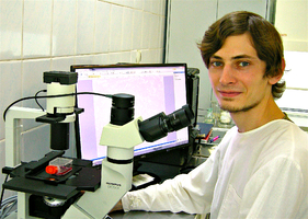 Всем донорам проводится аутопсия и серологическое исследование крови на сифилис и вирусы гепатитов В и С, СПИД.