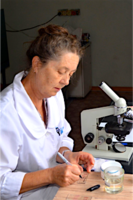 Всем донорам проводится аутопсия и серологическое исследование крови на сифилис и вирусы гепатитов В и С, СПИД.