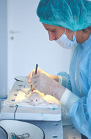 Все исследования проводятся по двухэтапному принципу – in vitro и in vivo с применением оригинальных экспериментальных моделей