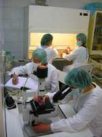 Благодаря зарубежным инвестициям стало возможно расширить исследования в области тканевой инженерии и реализовывать инновационные проекты.