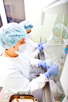 Благодаря зарубежным инвестициям стало возможно расширить исследования в области тканевой инженерии и реализовывать инновационные проекты.