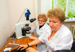 Благодаря зарубежным инвестициям стало возможно расширить исследования в области тканевой инженерии и реализовывать инновационные проекты.