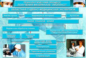 Структура Банка тканей и ЦНИЛ Самары