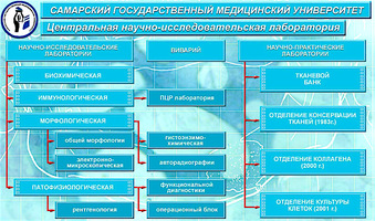 Порядок работы при получении материалов Лиопласт
