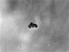 Эмиссионная микроскопия нано-частицы аллогенного гидрксиапатита