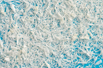 CORTICAL BONE POWDER 5 ml. LYO-117