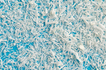 CORTICAL BONE POWDER 5 ml. LYO-117