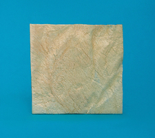 Strip of Dura mater 4 x 4 cm LYO-89