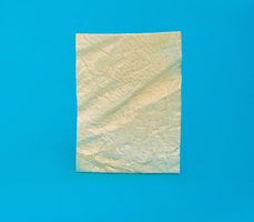 Strip of Dura mater 3 x 4 cm LYO-88 cm