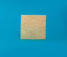 Strip of Dura mater 3 x 3 cm LYO-87