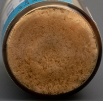 SPONGIOSE POWDER 1,0 ml LYO-105