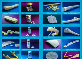 The variety of forms of release Lyoplast for maximum clinical outcome