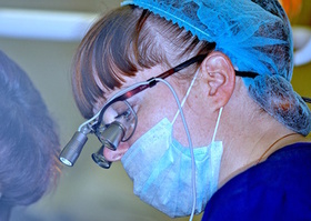 Surgical treatment of multiple gingival recessions with dura mater No. 4